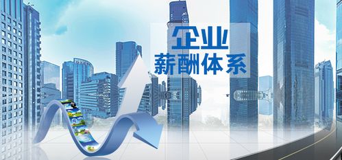 薪酬設(shè)計(jì)與績效考核 企業(yè)騰飛的雙翼制勝法則